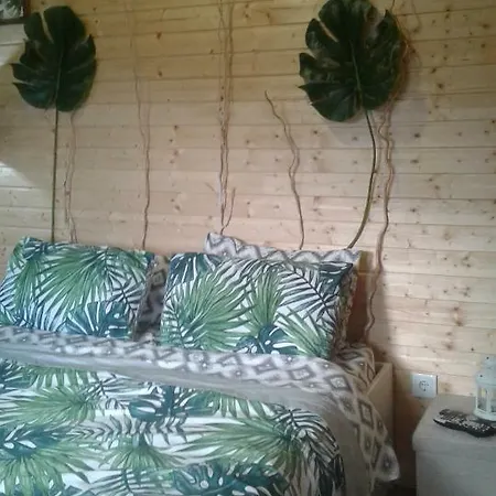 Bungalow Passadico Do Paiva * Viseu
