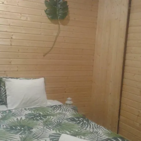 Bungalow Passadico Do Paiva Σπίτι διακοπών *